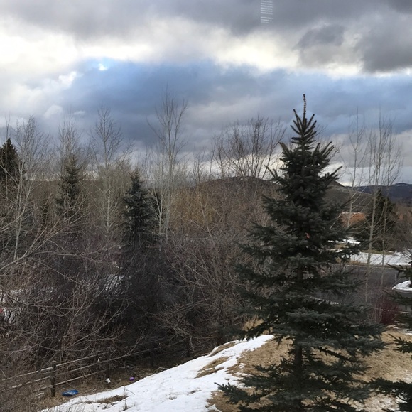 Meet your Posher, Kim - Picture 1 of 1